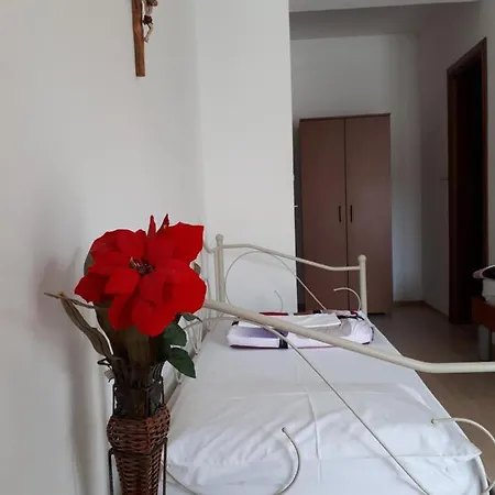 Pansuon Alfa 2 Affittacamere Bijakovici